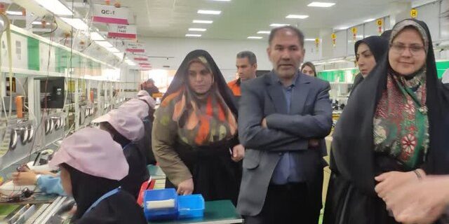 رصد میدانی وضعیت زنان شرق استان کرمان در سفر مدیرکل امور بانوان استانداری رصد میدانی وضعیت زنان شرق استان کرمان در سفر مدیرکل امور بانوان استانداری