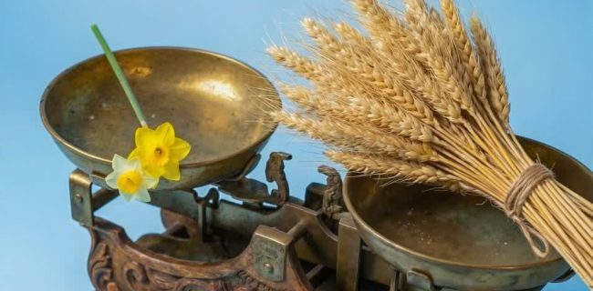 پویشهای فرهنگی امام زمانیها: ترویج انس خانوادگی و نذر یک درصد پویشهای فرهنگی امام زمانیها: ترویج انس خانوادگی و نذر یک درصد
