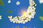 پیادهروی حرم حضرت معصومه تا مسجدمقدس جمکران(طریق المهدی) پیادهروی حرم حضرت معصومه تا مسجدمقدس جمکران(طریق المهدی)
