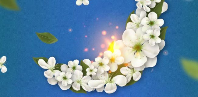 پیادهروی حرم حضرت معصومه تا مسجدمقدس جمکران(طریق المهدی) پیادهروی حرم حضرت معصومه تا مسجدمقدس جمکران(طریق المهدی)